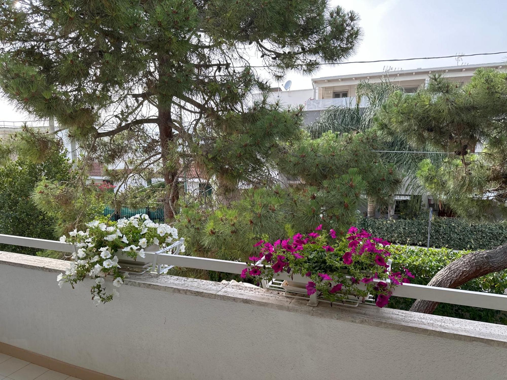 Villa Teresa Maria ปอร์โตเชซาเรโอ ภายนอก รูปภาพ